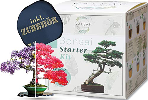 valeaf Bonsai Starter Kit I Bonsai Anzuchtset Geschenk für deinen Bonsai Baum I Zimmerpflanzen Anzuchtset inkl. 4 Sorten Bonsai Samen, Zubehör u. Bonsai-Schale I Saat Geschenk zum Baum pflanzen